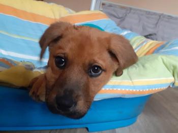 thumb 1 PHOTO 2020 02 07 19 55 22