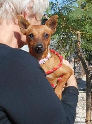 thumb Barbie Photo 5 Nov 2019