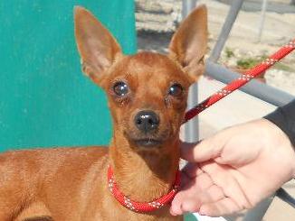 thumb Nessie Photo 2 Nov 2019 002