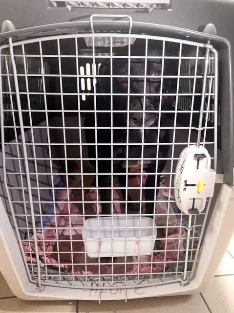 1 cid 170b7dbcbf35883b3291