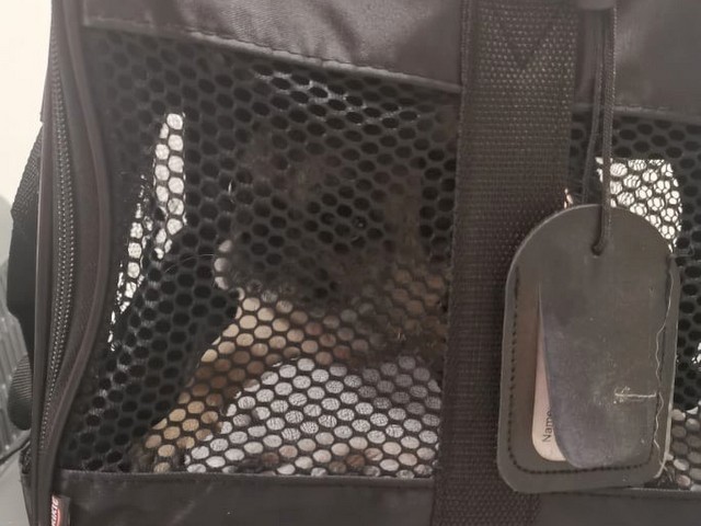 1 cid 170b7dc2b302bb177264