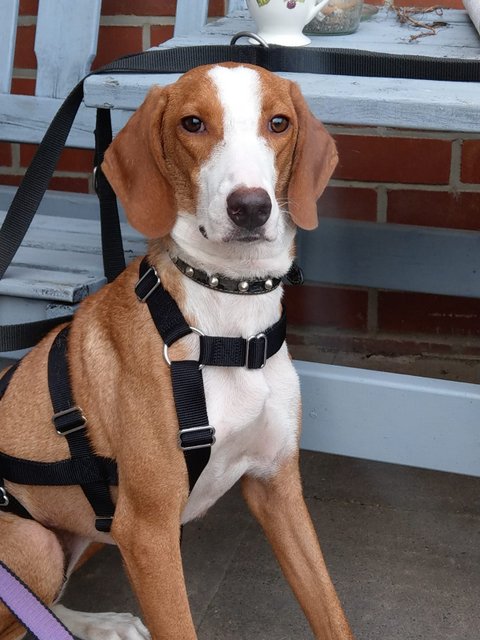 1 PHOTO 2020 09 10 22 14 24