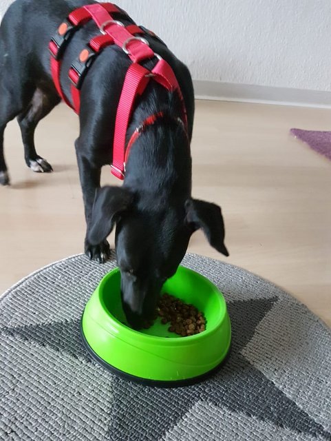 1 PHOTO 2020 09 10 22 15 26