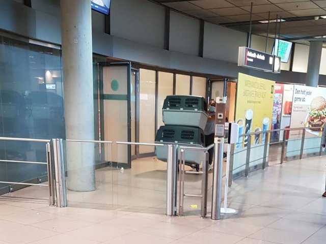 1 PHOTO 2020 09 10 22 19 23