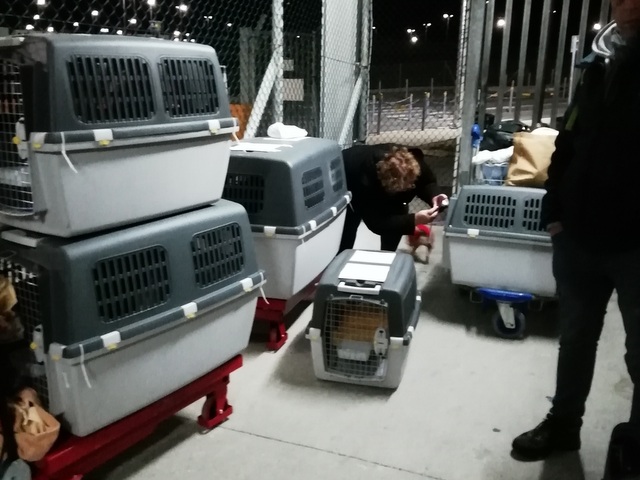 1 IMG 20200112 033019