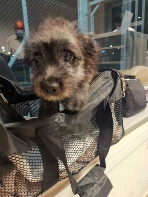 1 cid 174831aa742d97aa2281