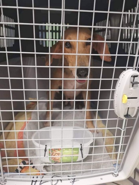 1 cid 174831ac2663dc0b6292