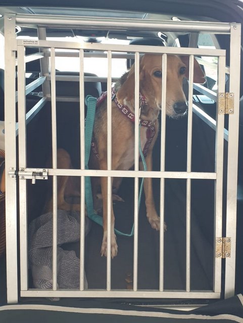 1 1PHOTO 2020 09 12 14 43 12