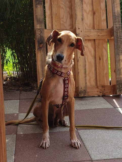 1 PHOTO 2020 09 12 14 42 33