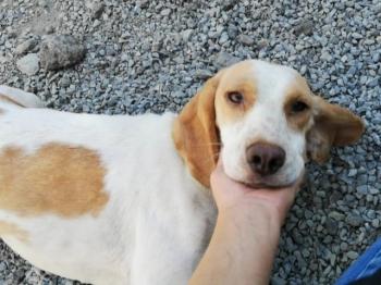 thumb 1 3PHOTO 2020 08 13 22 43 09