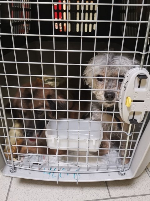 1 cid 170704536f03dc0b6291