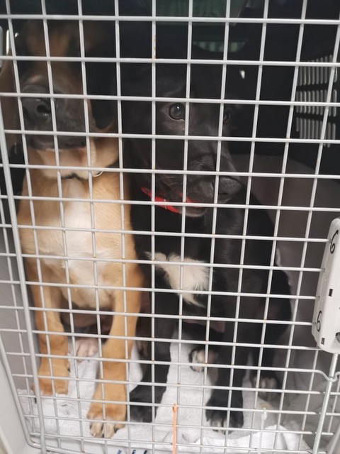 1 cid 1707045522e75348e272