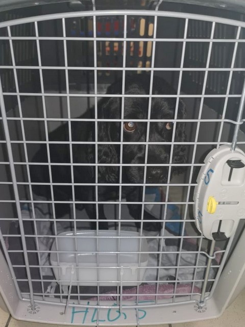 1 cid 1707045760fed0b192e3