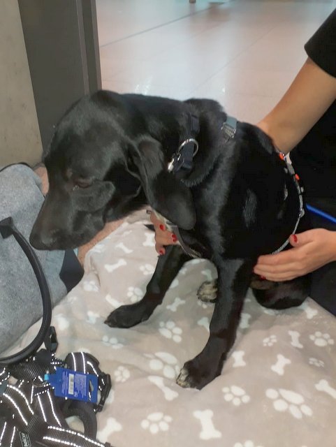 1 PHOTO 2020 09 24 20 34 33