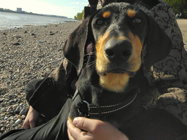 1 PHOTO 2020 09 25 15 51 21