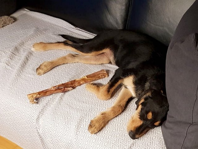 1 PHOTO 2020 09 25 13 43 00