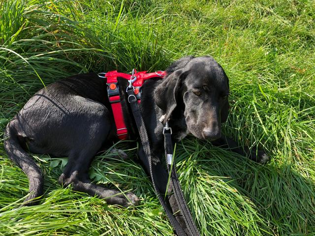 1 PHOTO 2020 09 25 13 44 07