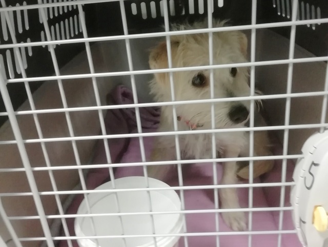 1 IMG 20201029 034215