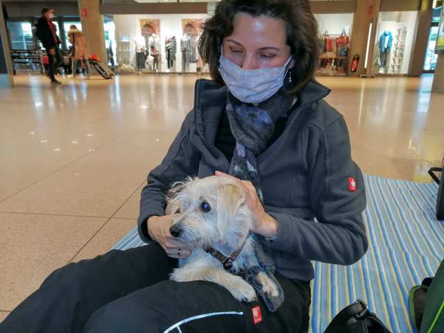 1 IMG 20201029 115325