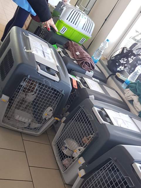 1 received 540112916608537