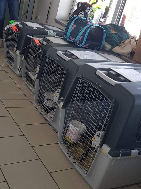 1 received 625654221549049