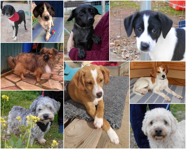 1 ankunft hh nürnberg