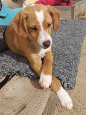 thumb 1 85061685 475112836773059 7155185274824163328 n