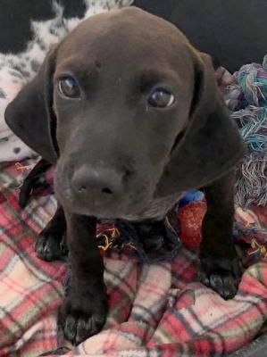 thumb 1 juliette5 001