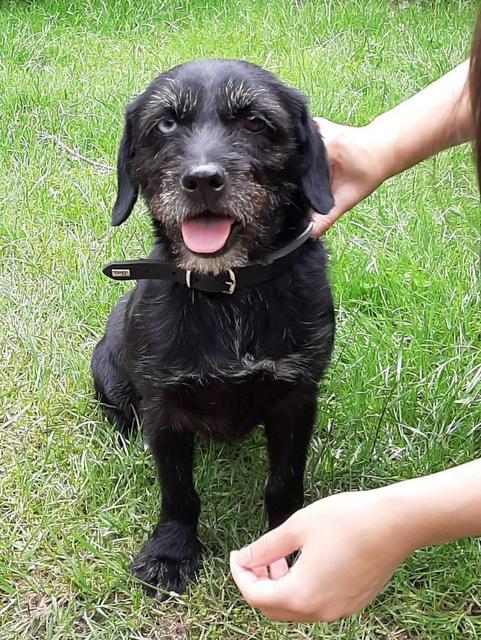 1 PHOTO 2020 07 04 16 32 45