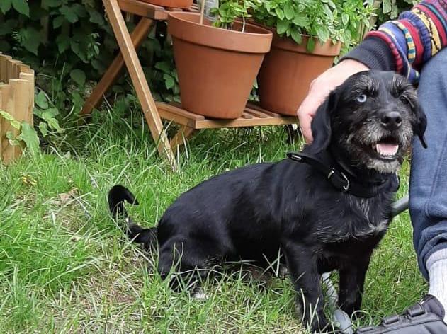 1 PHOTO 2020 07 04 16 32 46