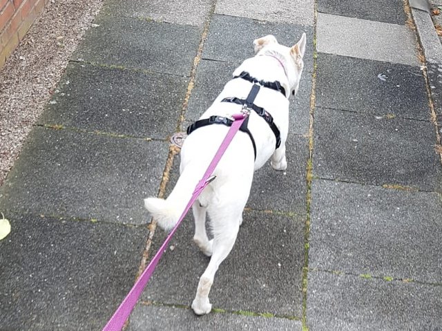 1 2PHOTO 2020 07 04 20 28 59