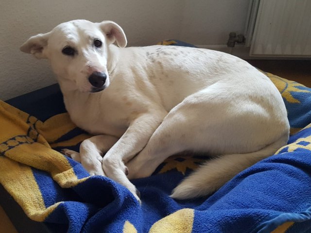 1 3PHOTO 2020 07 04 20 28 59