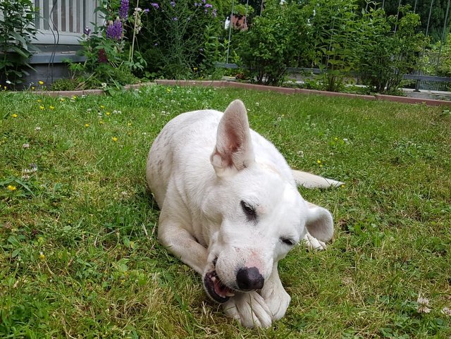 1 5PHOTO 2020 07 04 20 28 59