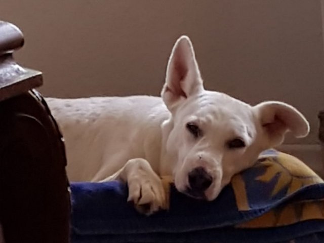 1 PHOTO 2020 07 04 20 28 58