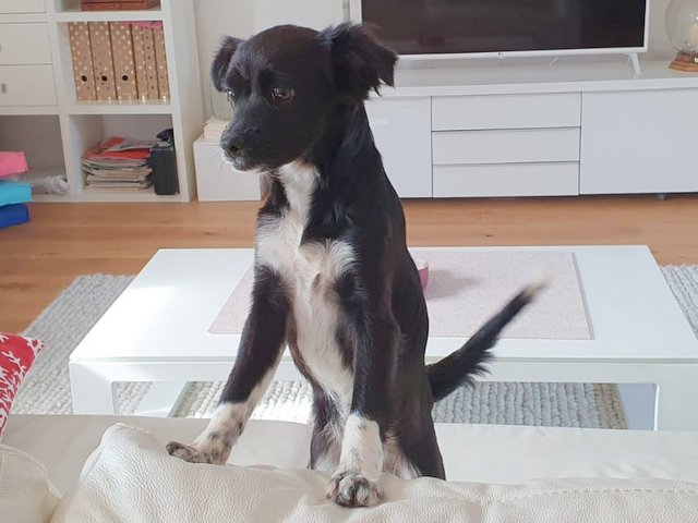 1 PHOTO 2020 07 05 08 47 11