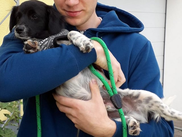 1 PHOTO 2020 07 05 08 47 52