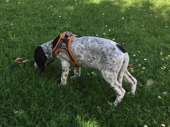 1 1PHOTO 2020 07 04 16 27 47