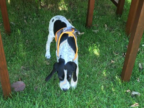 1 2PHOTO 2020 07 04 16 27 47