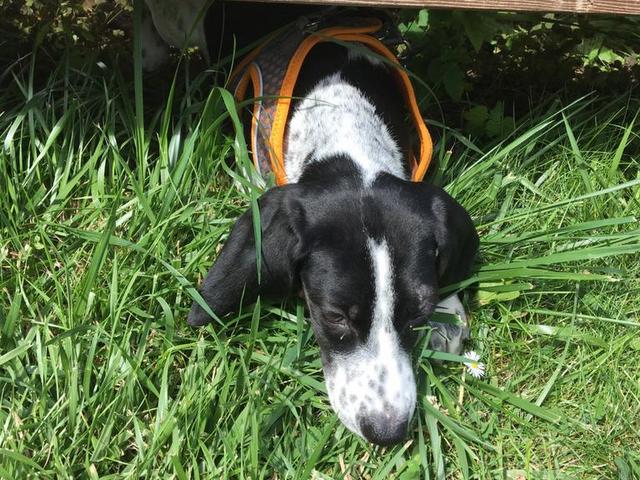 1 PHOTO 2020 07 04 16 27 48