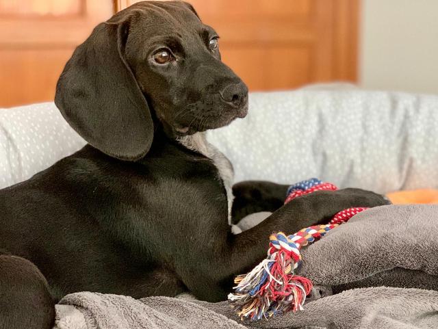 1 4PHOTO 2020 07 04 16 26 31