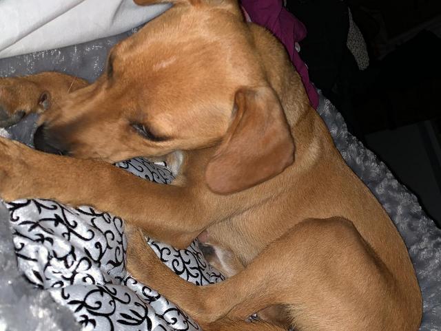 1 PHOTO 2020 07 05 08 46 06