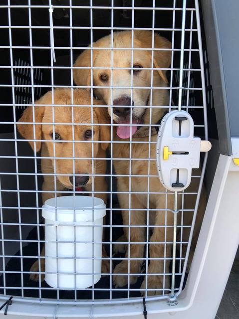 1 116162062 3209835292435514 7199566605511734986 n