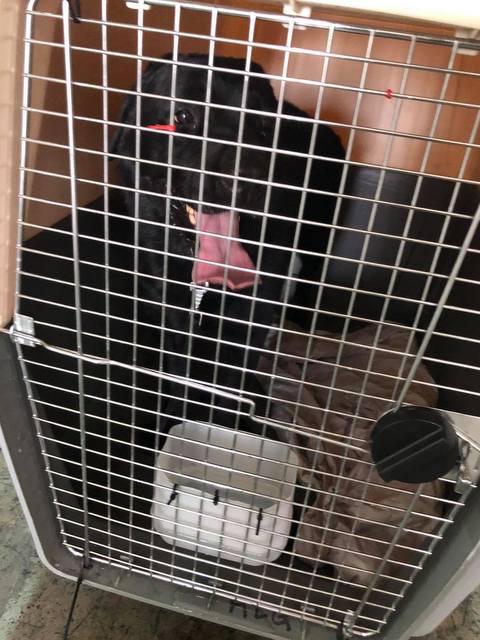 1 116435379 2411929132441085 5443721224952659456 n