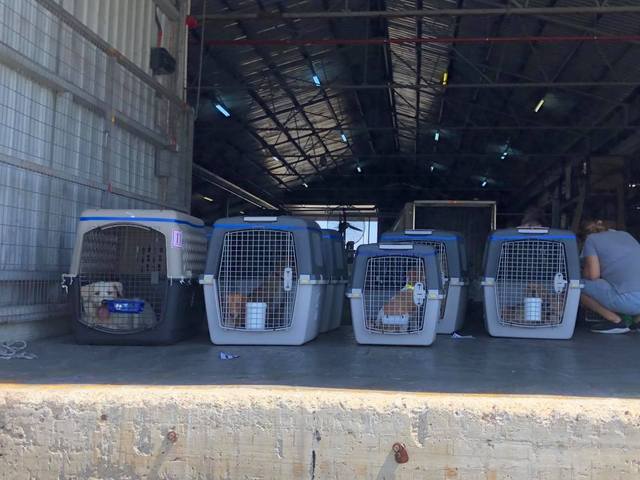 1 116548412 348094829540932 3187534307973380121 n