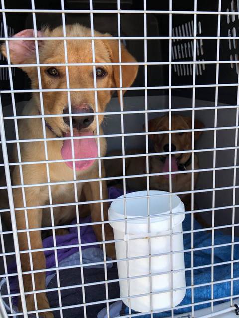 1 116582461 773843976722294 6465570964333075432 n