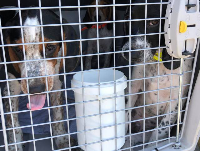 1 116586906 736716380453942 3733564182948754114 n