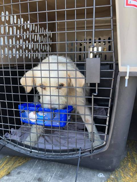 1 117182313 294085728571396 7400206628166471858 n 001