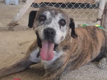 thumb PHOTO 2020 06 28 12 56 058