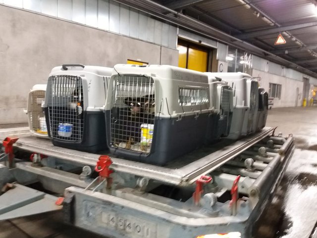 1 PHOTO10 2020 03 11 07 43 52