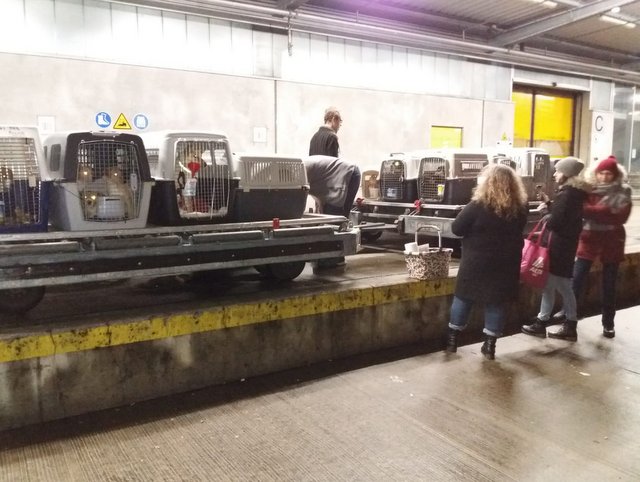 1 PHOTO12 2020 03 11 07 43 53